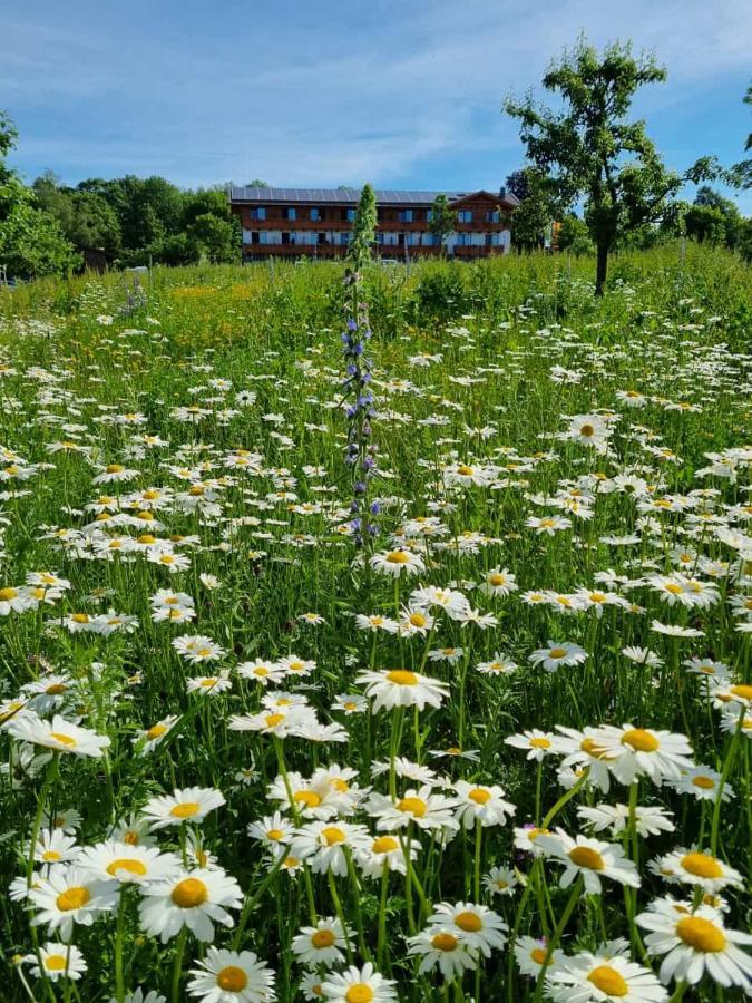 Steig Hotel บาดมาเรียนแบร์ก ภายนอก รูปภาพ